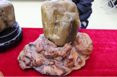 石韻煤魂，魅力海倫——首屆奇石文化旅游節盛大開幕，焦炭產業與文化盛宴交相輝映